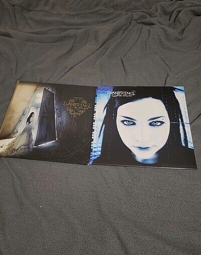 2 Evanescence Vinyls | Fallen (Normal) + The Open Door (Special Edition)