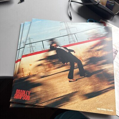 The Vamps Bradley Simpson- THE PANIC YEARS Blood Records very low numbered 10