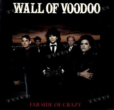 Wall Of Voodoo - Far Side Of Crazy 7" (VG+/VG+) '*