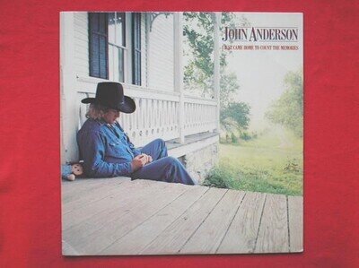 John Anderson I Just Came Home To Count The Memories LP Warner Bros BSK3599 EX/E