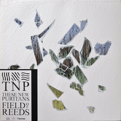 These New Puritans - Field of Reeds - 2014 Double LP Vinyl Record - Near Mint
