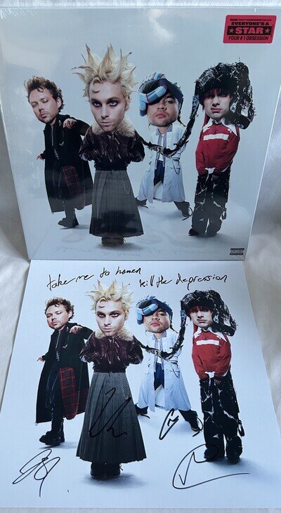 IN HAND!! 5 Seconds of Summer 5sos Everyone’s A Star Vinyl LP + SIGNED Insert