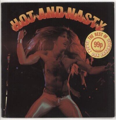 Black Oak Arkansas - Hot And Nasty The Best Of - Used Vinyl Record - - X34z