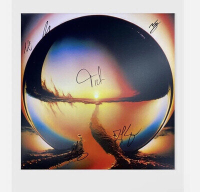 CAGE THE ELEPHANT Autographed Neon Pill Vinyl LP Milky Clear SIGNED IN HAND!