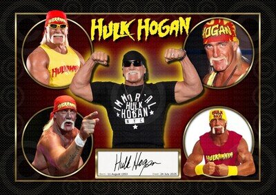 Hulk Hogan - WWE - Exclusively Made By Mashed Designs