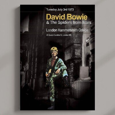David Bowie - Ziggy Last Concert Series Poster MULTI-PRINT 3 FRAMED Options