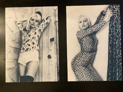 Debbie Harry Blondie posters x 2 - Photograph reprints from 1970s large A2 size