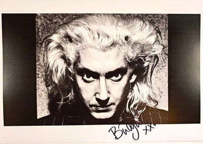 Budgie Siouxsie and the Banshees Hand Signed picture size A4 Music autograph