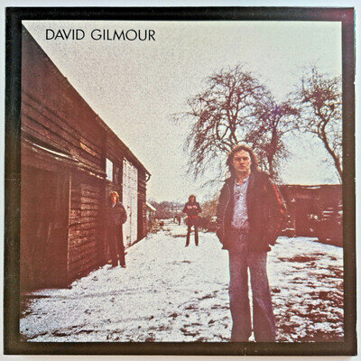 DAVID GILMOUR - DAVID GILMOUR - 12” VINYL LP