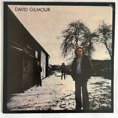 David Gilmour Self Titled • 1983 Vinyl LP Album • NM / NM • Fantastic Condition