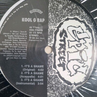 Kool G Rap, It's A Shame, (12"), VG+