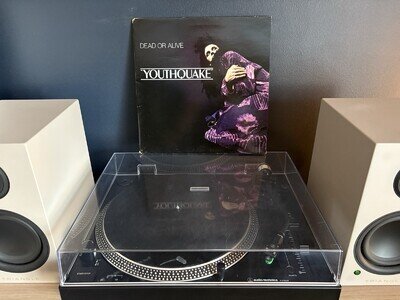 Dead Or Alive Youthquake 1985 Vinyl Record Album LP Ex/VG