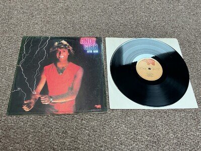 Andy Gibb-After Dark 1980 1 St Press German RSO LP Great Play