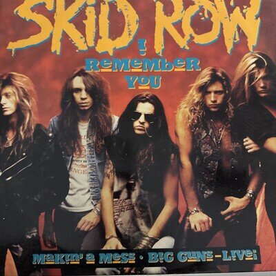 Skid Row 'I Remember You' 12" Vinyl Single Record A8886T