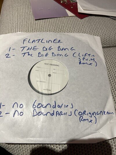 12” Vinyl Mint Unplayed White Label Flatliner-the Big Bang/no Boundaries Ramm009