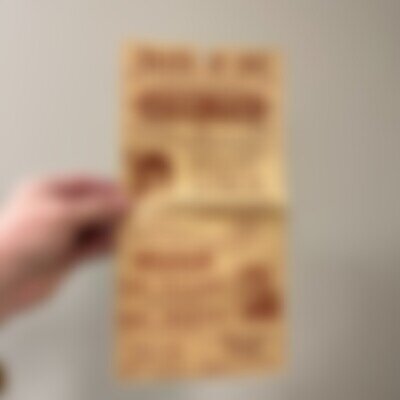 PAUL ANKA Atlantic City, NJ STEEL PIER Advertising Broadside Poster 1961