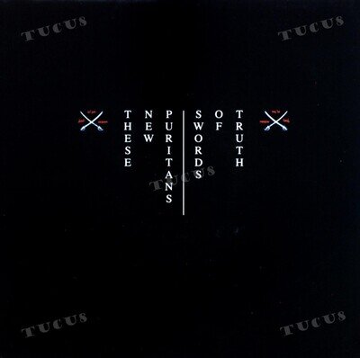 These New Puritans - Swords Of Truth 7" (VG) .*