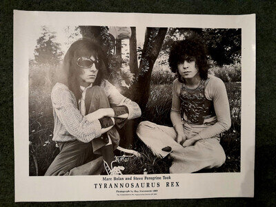 TYRANNOSAURUS REX Ray Stevenson 1969 Ty. Rex Appreciation Society Poster BOLAN