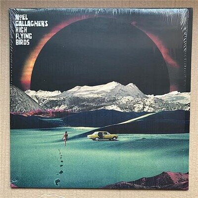 NOEL GALLAGHER'S HIGH FLYING BIRDS HOLY MOUNTAIN 12" PIC DISC 2017 limited editi