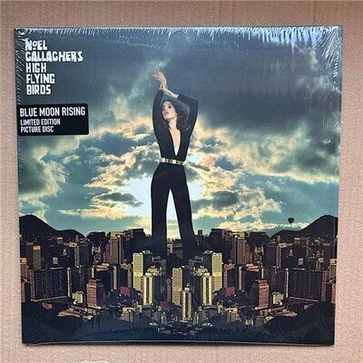 NOEL GALLAGHER'S HIGH FLYING BIRDS BLUE MOON RISING 12" PIC DISC 2019 limited ed