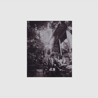 DJ Lily - BROR04 (12", EP, Pur)