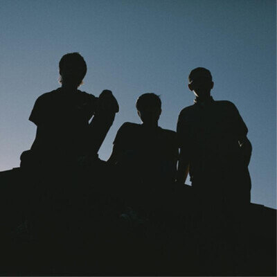 Joyce Manor 40 Oz. To Fresno (Vinyl) 12" Album