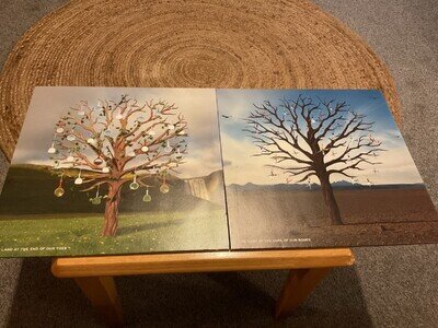 Biffy Clyro Opposites Double BlackVinyl First Edition