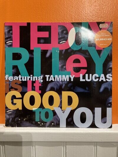 Teddy Riley Featuring Tammy Lucas 12” Vinyl Single MCST1611