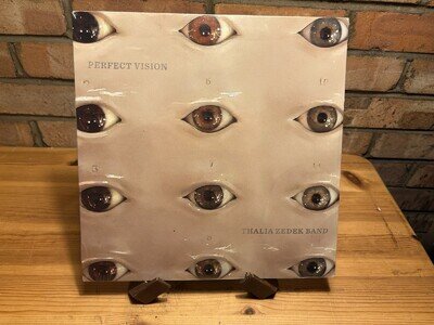 Thalia Zedek Band : Perfect Vision (Vinyl) 12" Record LP Album - New and Sealed