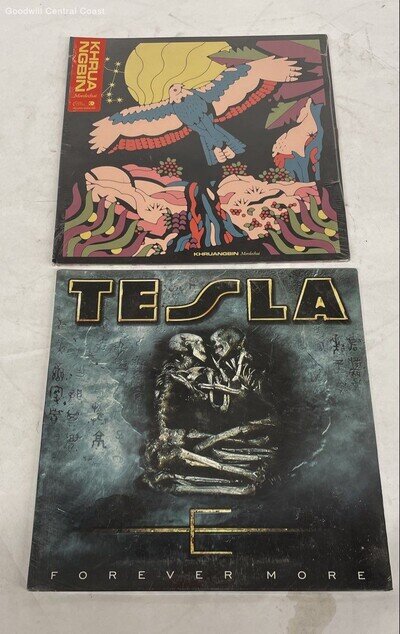 Multi-Artist Record Lot: Tesla Forever More!