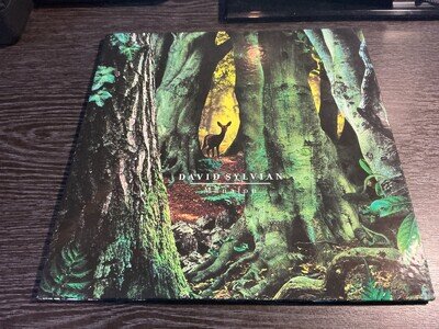 DAVID SYLVIAN MANAFON 2LP GF 2009 EX/EX SAMADHISOUND