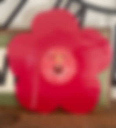 *SIGNED/AUTOGRAPHED* Paramore "The Holiday Sessions" 7" vinyl record! haley riot