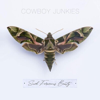 Cowboy Junkies Such Ferocious Beauty (Vinyl)