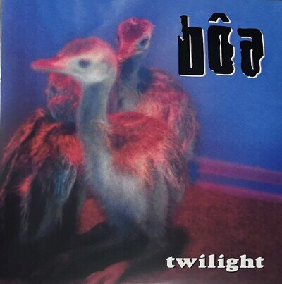 Twilight by BoA (Record, 2024)