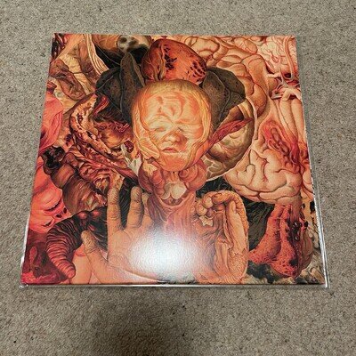 FesterDecay - Reality Rotten to the Core Vinyl LP NM- FFO Carcass, Pharmacist