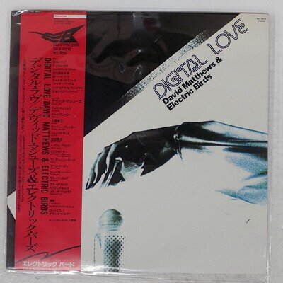 DAVE MATTHEWS DIGITAL LOVE ELECTRIC BIRD SKS8010 Japan LP