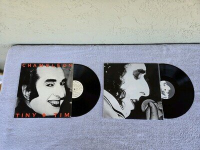Tiny Tim Chameleon 33 RPM & Keeping Troubles To Myself 45 RPM Mini Album Record