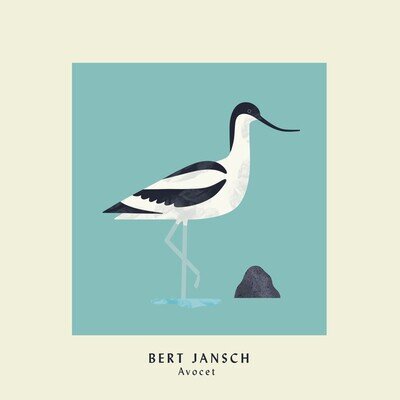 Bert Jansch Avocet (Vinyl) 12" Album (Limited Edition)