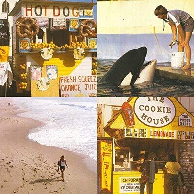 Best Coast Something in the Way (Vinyl) (US IMPORT)