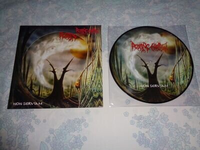 ROTTING CHRIST "Non Serviam" PIC LP 2014 500X necromantia varathron