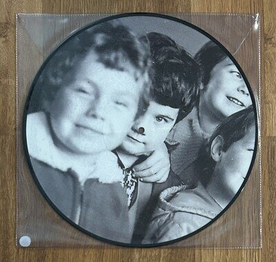 Joyce Manor - Self Titled vinyl Picture Disc LP record NEW