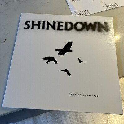 Sound of Madness by Shinedown (Record, 2021)