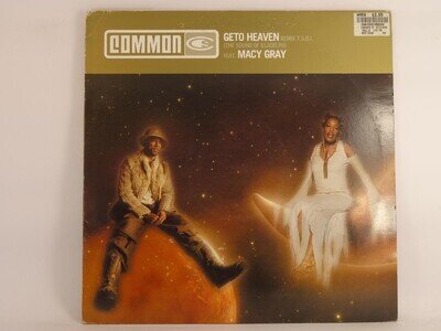 GETO HEAVEN (FT. MACY GRAY) EXTENDED MIX (2) 3 Track 12" Single including Pictur