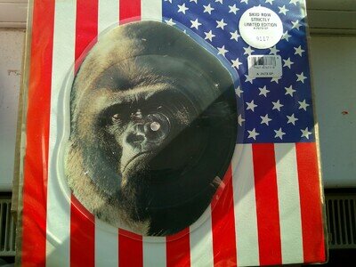 SKID ROW - SHAPED PICTURE DISC - EX.