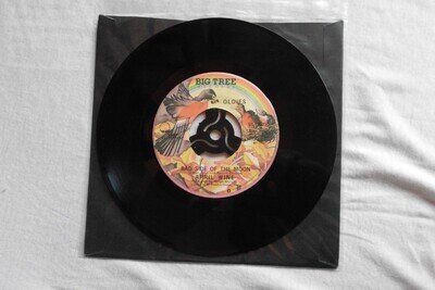 APRIL WINE YOU COULD HAVE BEEN A LADY BIG TREE RECORDS US IMPORT 7" VINYL SINGLE