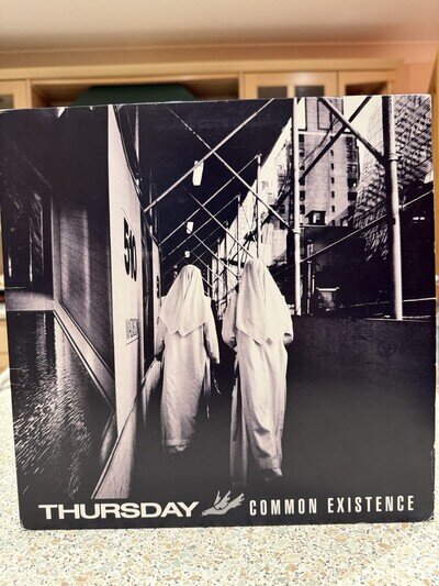 Common Existence by Thursday (Record, 2009)