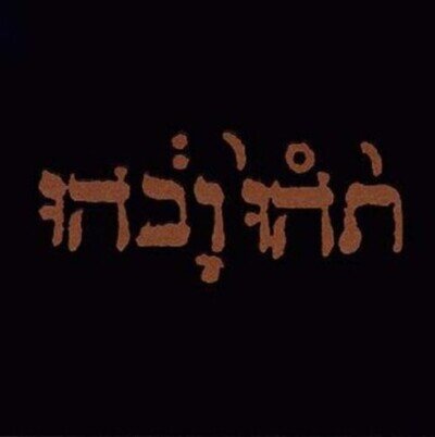 Godspeed You! Black Emperor Slow Riot for New Zero Kanada (Vinyl) 12" Album