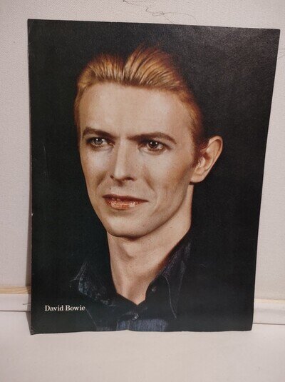 Vintage David Bowie Poster - Thin White Duke - other side, David Essex.