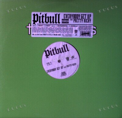 Pitbull Featuring Pretty Ricky - Everybody Get Up Maxi (VG/VG) .*