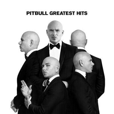 PITBULL - GREATEST HITS - New Vinyl Record VINYL LONGPLAY 33 1 - 44 - Y600z